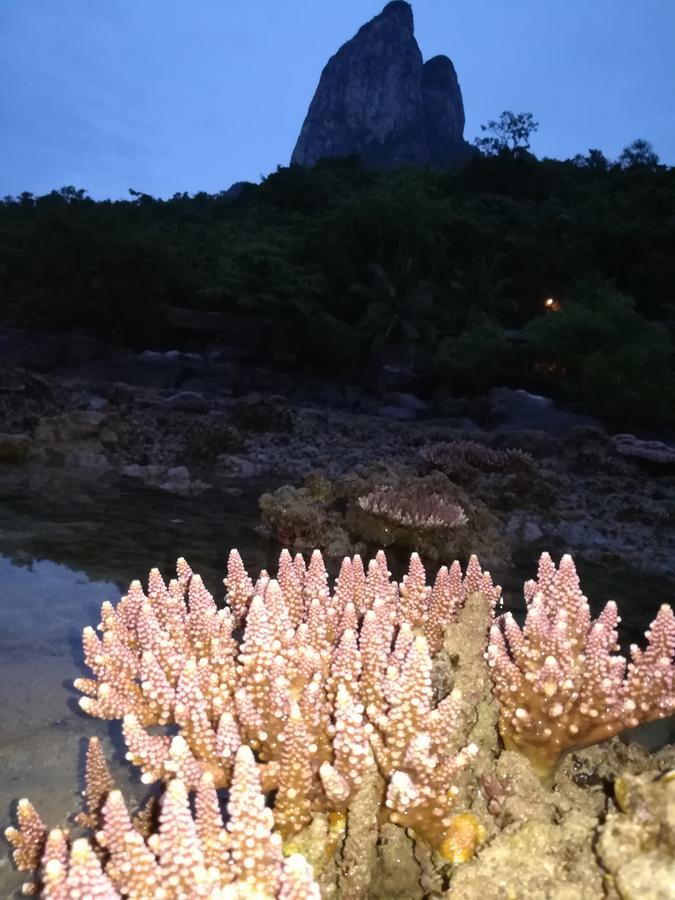Kampong Pasir Sanang Burong Simukut Place מראה חיצוני תמונה